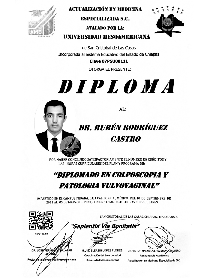 Certificado 5