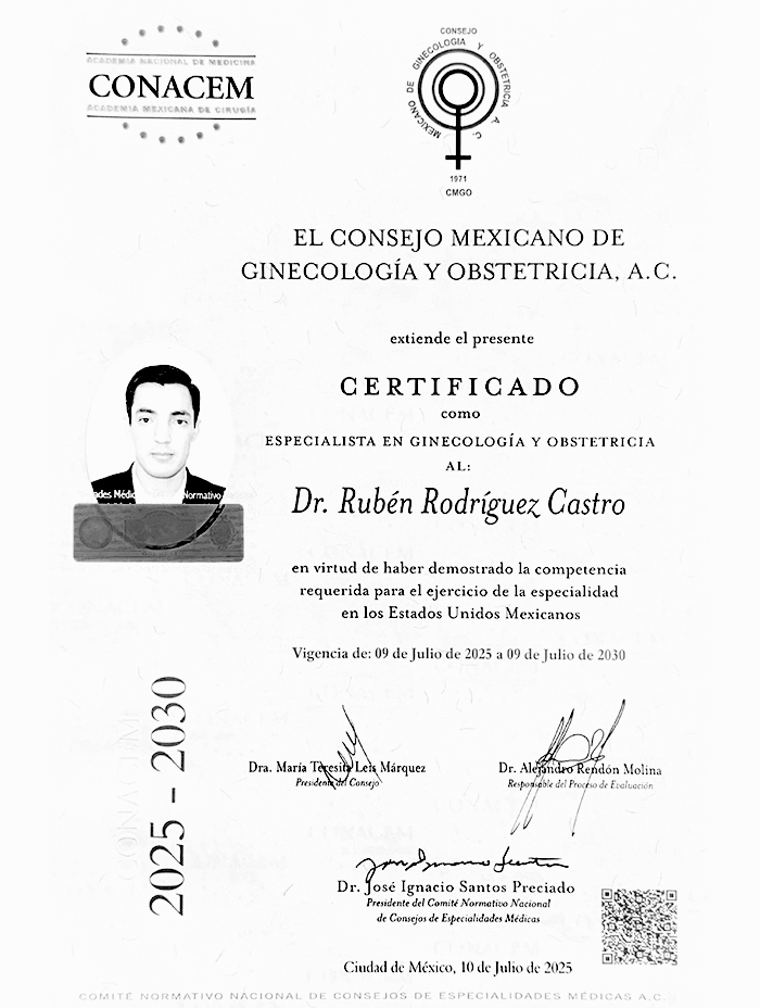 Certificado 6
